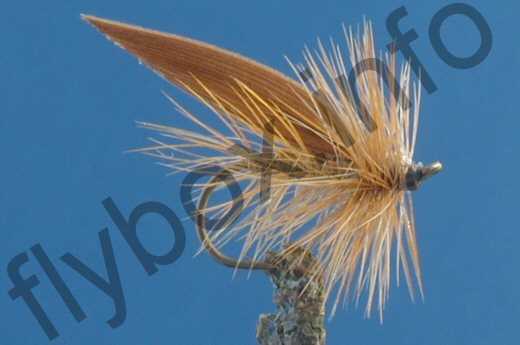 Fish4Flies Cinnimon Sedge